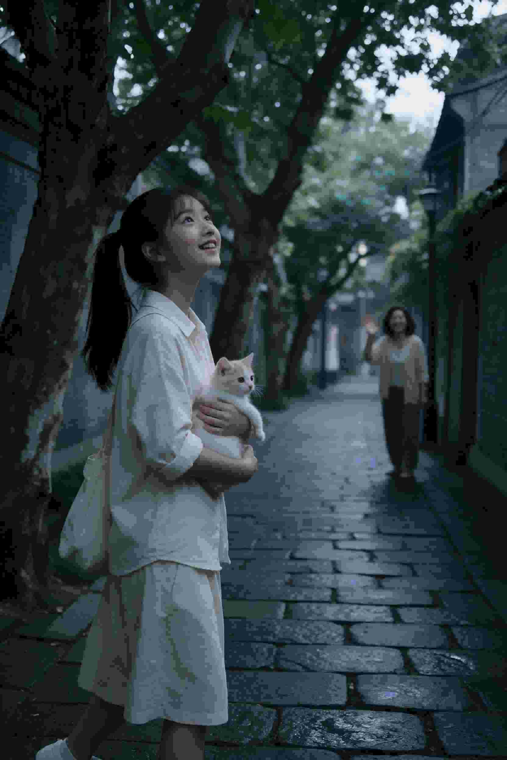黑手党秘密